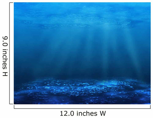 Underwater Bottom Wall Decal