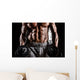 Beautiful Male with Weights Wall Decal