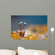 Wild White Rock Flowers Wall Decal