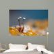 Wild White Rock Flowers Wall Decal