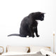 Black Cat Wall Decal Design 4