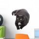 Black Cat Wall Decal Design 3