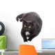Black Cat Wall Decal Design 3