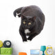 Black Cat Wall Decal Design 3