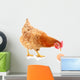 Hen and Egg Wall Decal Design 2