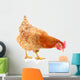 Hen and Egg Wall Decal Design 2