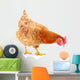 Hen and Egg Wall Decal Design 2