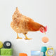 Hen and Egg Wall Decal Design 2