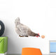 Hen and Egg Wall Decal Design 1