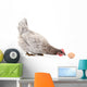 Hen and Egg Wall Decal Design 1