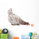 Hen and Egg Wall Decal Design 1