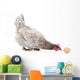 Hen and Egg Wall Decal Design 1