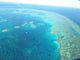 Great Barrier Reef 1 Wall Decal