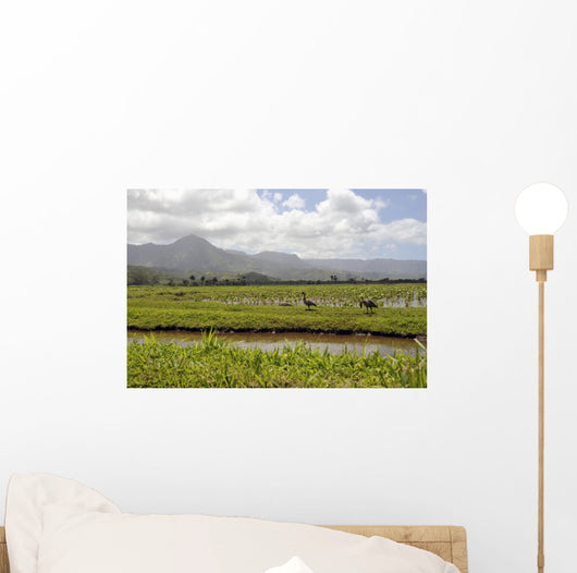 Taro Fields Island Kauai Wall Decal
