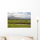 Taro Fields Island Kauai Wall Decal