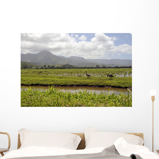 Taro Fields Island Kauai Wall Decal