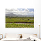 Taro Fields Island Kauai Wall Decal