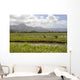 Taro Fields Island Kauai Wall Decal