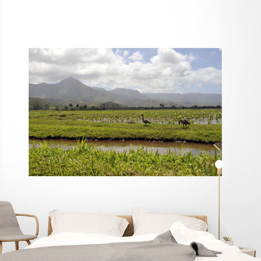 Taro Fields Island Kauai Wall Decal