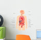 Human Body Anatomy Wall Decal