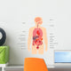 Human Body Anatomy Wall Decal
