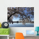 Washington Dc Wall Decal Design 1