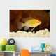 Golden Ram Dwarf Cichlid Wall Decal