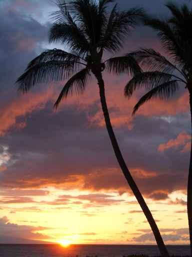 Hawaiian Sunset Wall Decal