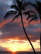Hawaiian Sunset Wall Decal