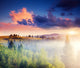 Morning Mountain Wall Decal