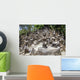 Koh Samui Magic Garden Wall Decal