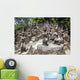 Koh Samui Magic Garden Wall Decal