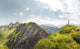 Summer Mountain Landscape Alps Wall Decal