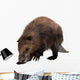 Beaver Wall Decal Design 1