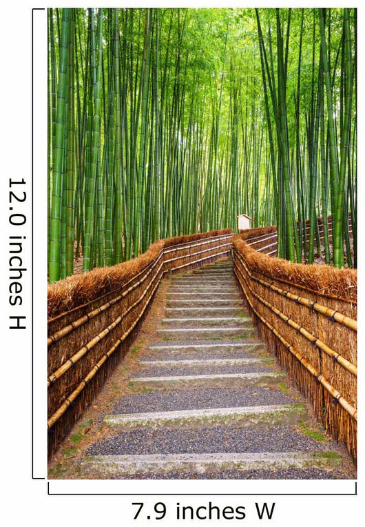 Path to Bamboo Forest Wall Decal