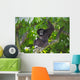 Gibbon Monkey Wall Decal