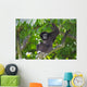 Gibbon Monkey Wall Decal