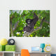 Gibbon Monkey Wall Decal