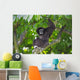 Gibbon Monkey Wall Decal