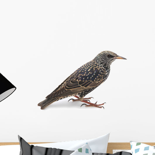 Starling Wall Decal