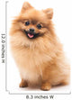 Cute Pomeranian Spitz Wall Decal Design 1