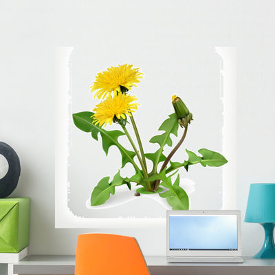 Dandelion Flowers Vector Icon Wall Decal shown on a wall