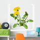 Dandelion Flowers Vector Icon Wall Decal