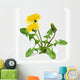 Dandelion Flowers Vector Icon Wall Decal
