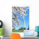 Cherry Blossom Festival Spring Wall Decal