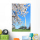 Cherry Blossom Festival Spring Wall Decal