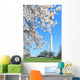 Cherry Blossom Festival Spring Wall Decal