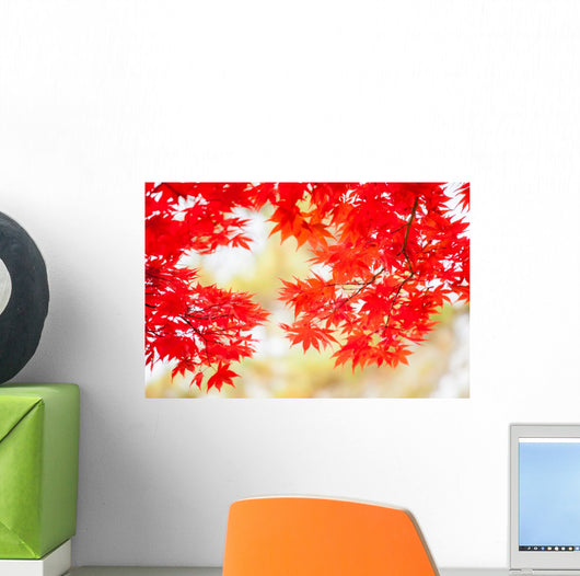 Colored Japanese Maple Leaf Wall Decal