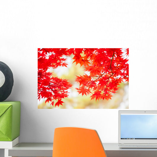 Colored Japanese Maple Leaf Wall Decal