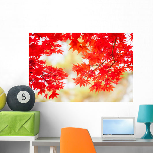 Colored Japanese Maple Leaf Wall Decal
